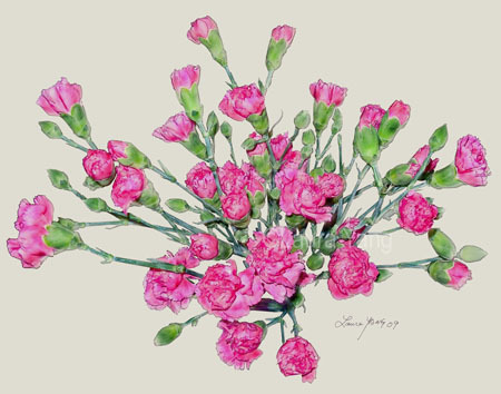 Carnations_11"x14"